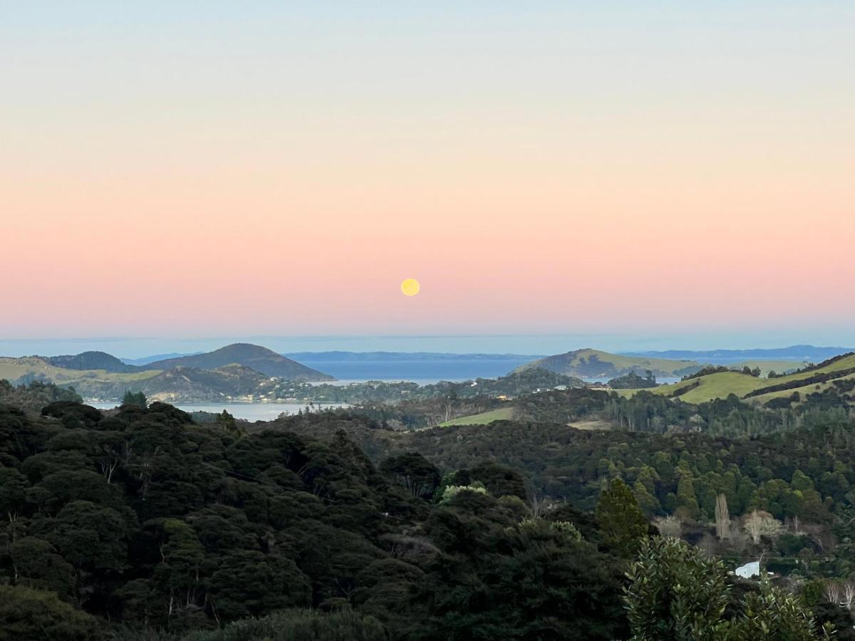 Buffalo Coromandel
