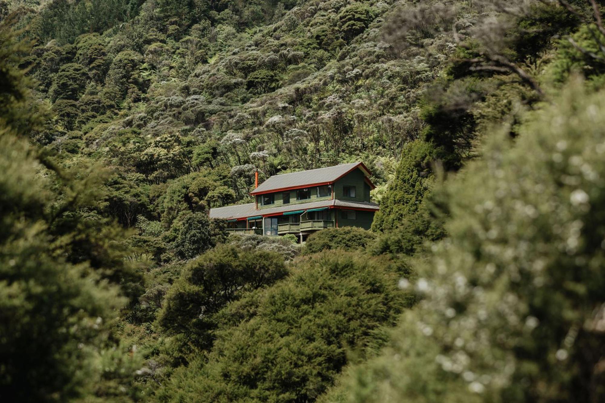 Bed & Breakfast Buffalo Coromandel